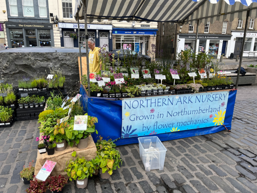 Our market dates for 2024 – hope to see you there!